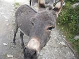 09-2014 Val Cervia - 007